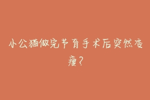 小公猫做完节育手术后突然变瘦？