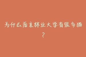 为什么南京林业大学有很多猫？