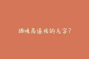 猫咪高逼格的名字？