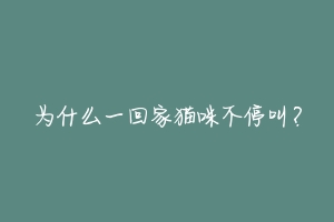 为什么一回家猫咪不停叫？