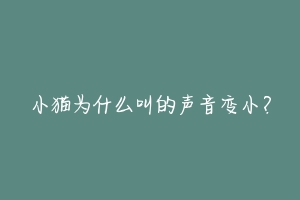 小猫为什么叫的声音变小？