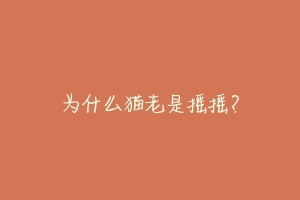 为什么猫老是摇摇？