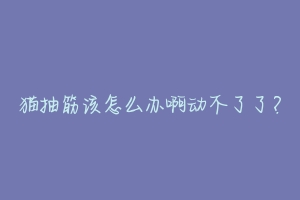 猫抽筋该怎么办啊动不了了？