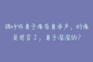 猫呼吸鼻子像有鼻涕声，好像是感冒了，鼻子湿湿的？