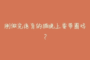 刚做完绝育的猫晚上要带圈吗？