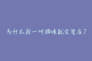 为什么我一叫猫咪就会答应？