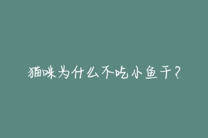 猫咪为什么不吃小鱼干？