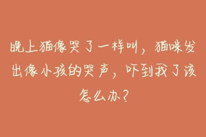 晚上猫像哭了一样叫，猫咪发出像小孩的哭声，吓到我了该怎么办？