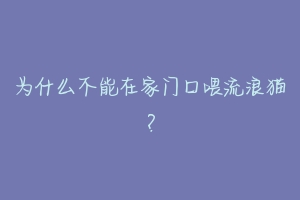 为什么不能在家门口喂流浪猫？