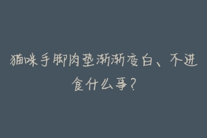 猫咪手脚肉垫渐渐变白、不进食什么事？