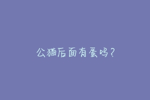 公猫后面有蛋吗？