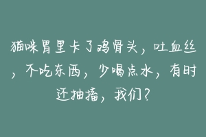 猫咪胃里卡了鸡骨头，吐血丝，不吃东西，少喝点水，有时还抽搐，我们？