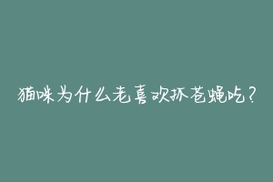 猫咪为什么老喜欢抓苍蝇吃？