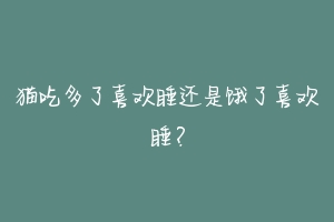 猫吃多了喜欢睡还是饿了喜欢睡？