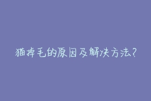 猫掉毛的原因及解决方法？