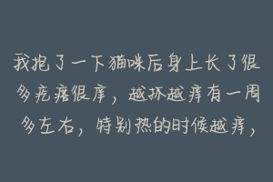 我抱了一下猫咪后身上长了很多疙瘩很庠，越抓越痒有一周多左右，特别热的时候越痒，请问要擦什么软膏和服？