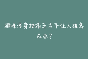 猫咪浑身抽搐乏力不让人碰怎么办？