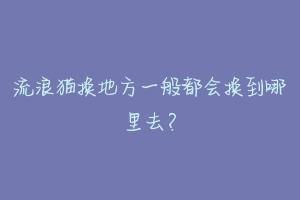 流浪猫换地方一般都会换到哪里去？