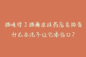 猫咪得了猫癣涂抹药后总舔有什么办法不让它添伤口？