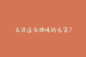 古诗适合猫咪的名字？