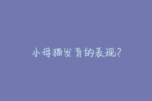 小母猫发育的表现？