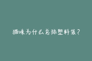 猫咪为什么总舔塑料袋？