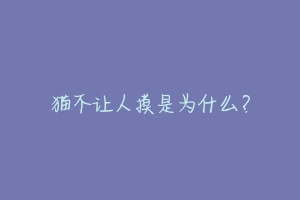 猫不让人摸是为什么？