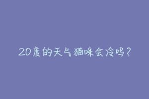 20度的天气猫咪会冷吗？