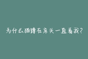 为什么猫蹲在床头一直看我？