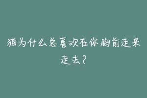 猫为什么总喜欢在你胸前走来走去？