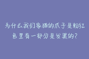 为什么我们家猫的爪子是粉红色里有一部分是发黑的？