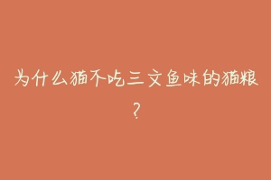 为什么猫不吃三文鱼味的猫粮？