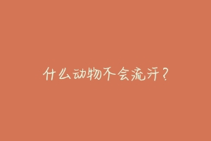 什么动物不会流汗？