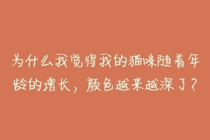 为什么我觉得我的猫咪随着年龄的增长，颜色越来越深了？