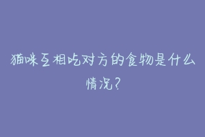 猫咪互相吃对方的食物是什么情况？