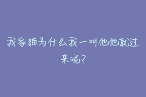 我家猫为什么我一叫他他就过来呢？