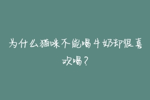 为什么猫咪不能喝牛奶却很喜欢喝？