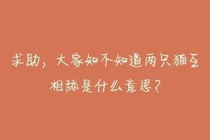 求助，大家知不知道两只猫互相舔是什么意思？