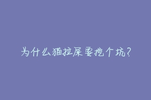 为什么猫拉屎要挖个坑？