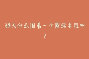 猫为什么围着一个圈转并且叫？