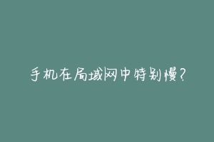 手机在局域网中特别慢？