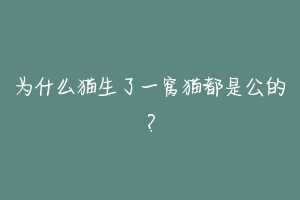 为什么猫生了一窝猫都是公的？