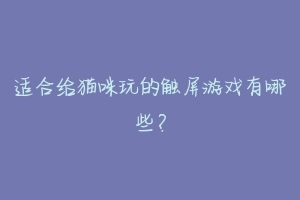 适合给猫咪玩的触屏游戏有哪些？