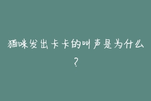 猫咪发出卡卡的叫声是为什么？