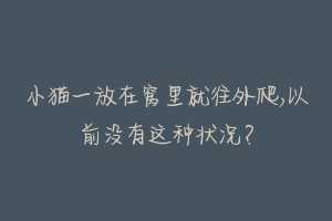 小猫一放在窝里就往外爬,以前没有这种状况？