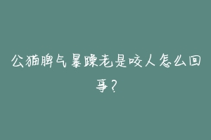 公猫脾气暴躁老是咬人怎么回事？