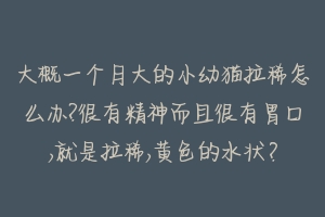 大概一个月大的小幼猫拉稀怎么办?很有精神而且很有胃口,就是拉稀,黄色的水状？