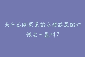 为什么刚买来的小猫拉屎的时候会一直叫？