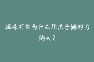 猫咪打架为什么用爪子踢对方的头？