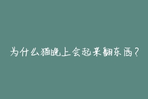 为什么猫晚上会起来翻东西？